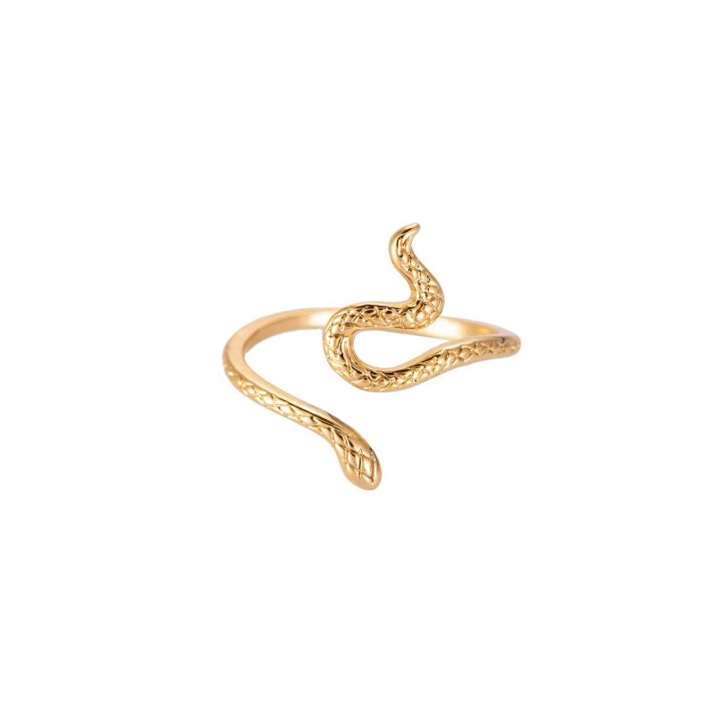 Edelstahl Ring Snake