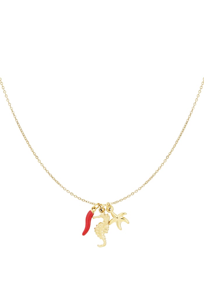 Edelstahl Kette Hot Seepferdchen