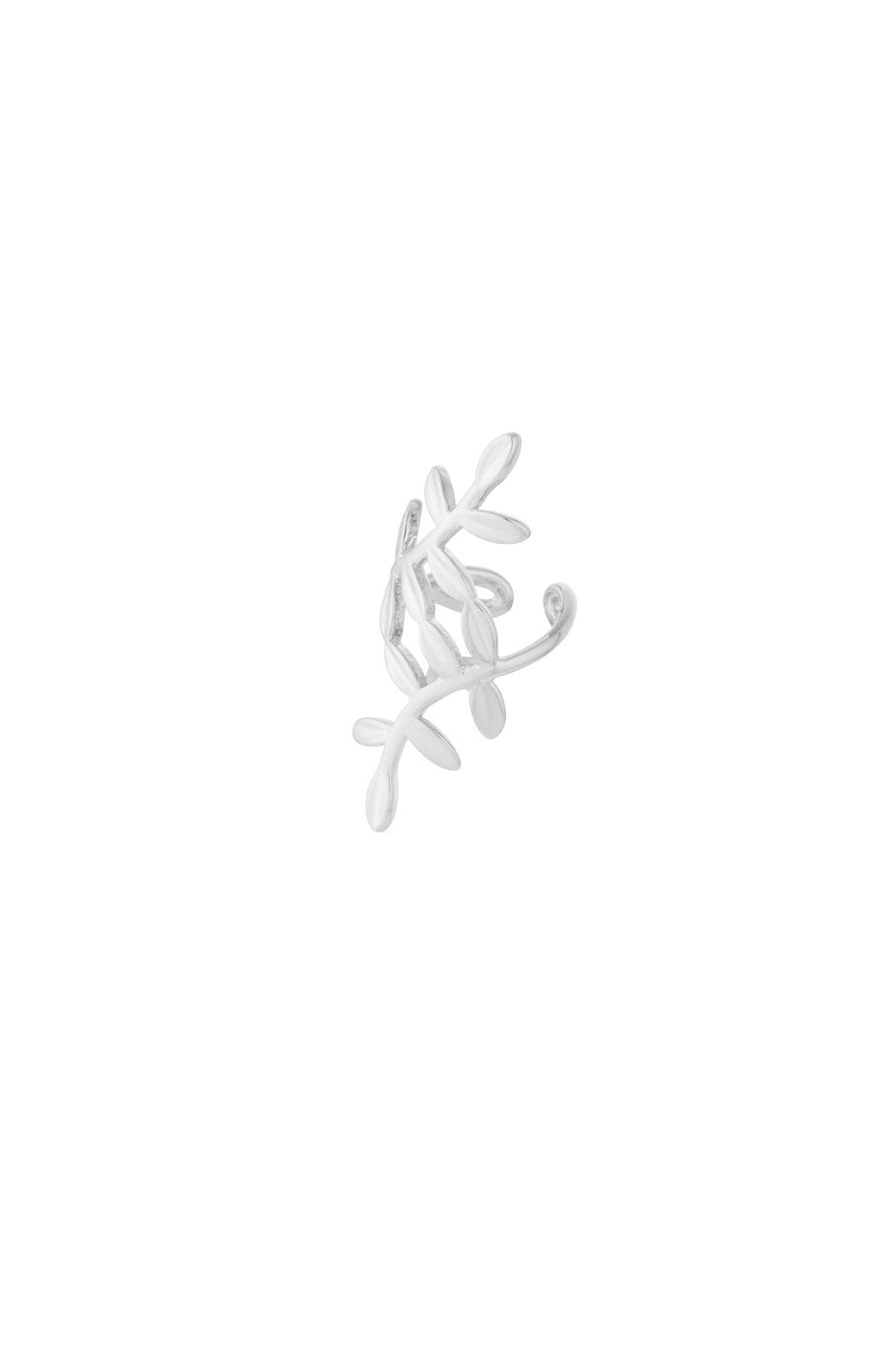 Earcuff Plant