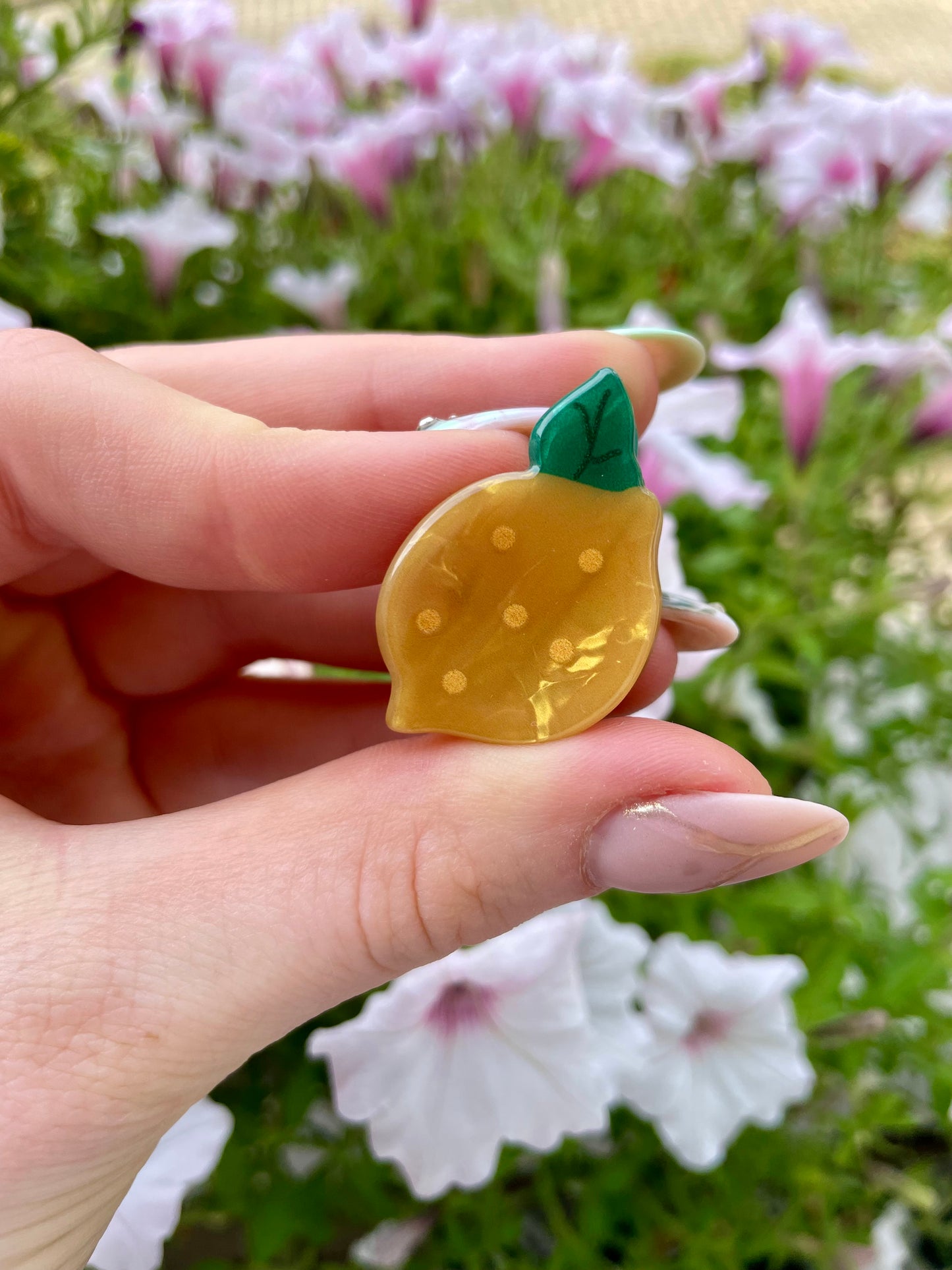 Mini Obst Spange