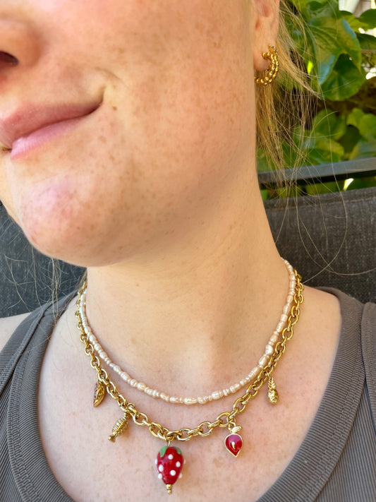 Edelstahl Kette Strawberry Hearth