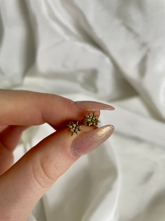 Edelstahl Ohrringstecker Star