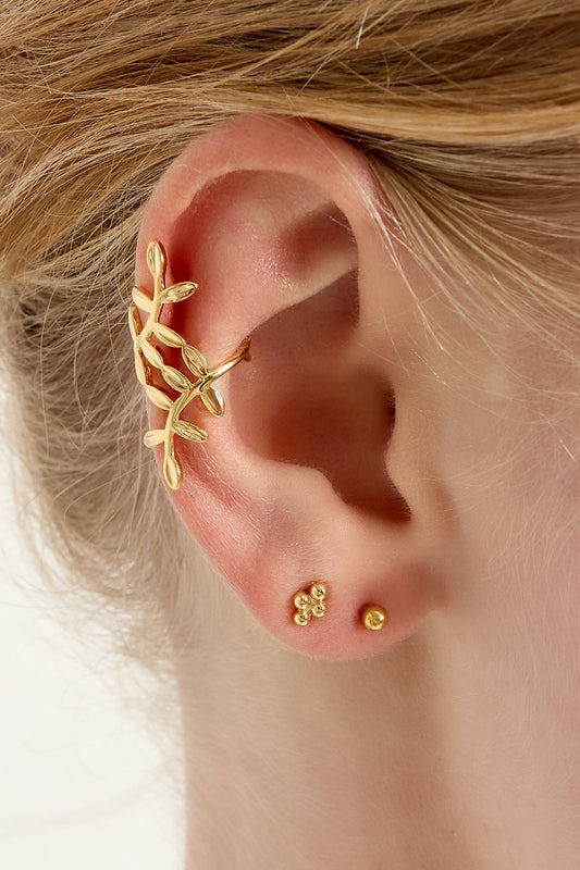 Earcuff Plant