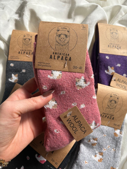 Alpaka Socken Katzen Muster