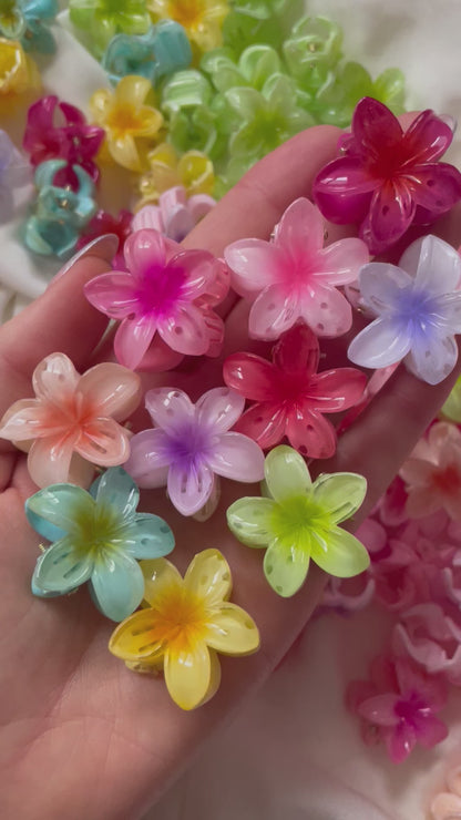 Haarspange Mini Blumen Hawaii 🌺